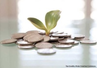 Change on a table with small plant